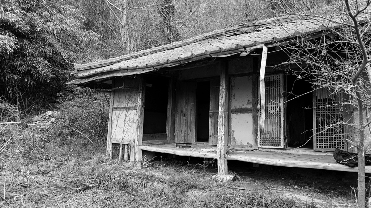 草木に埋もれた廃屋