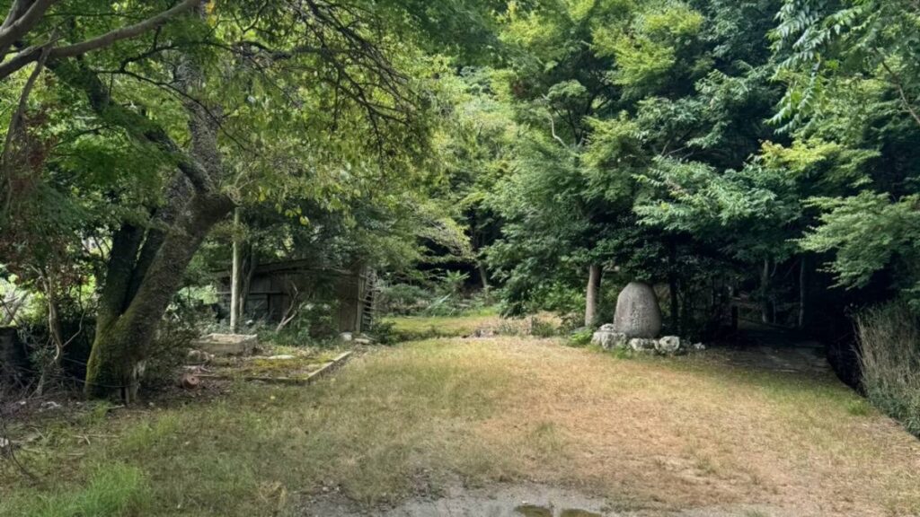 木立に囲まれた草の空き地と奥に残る石造りの構造物