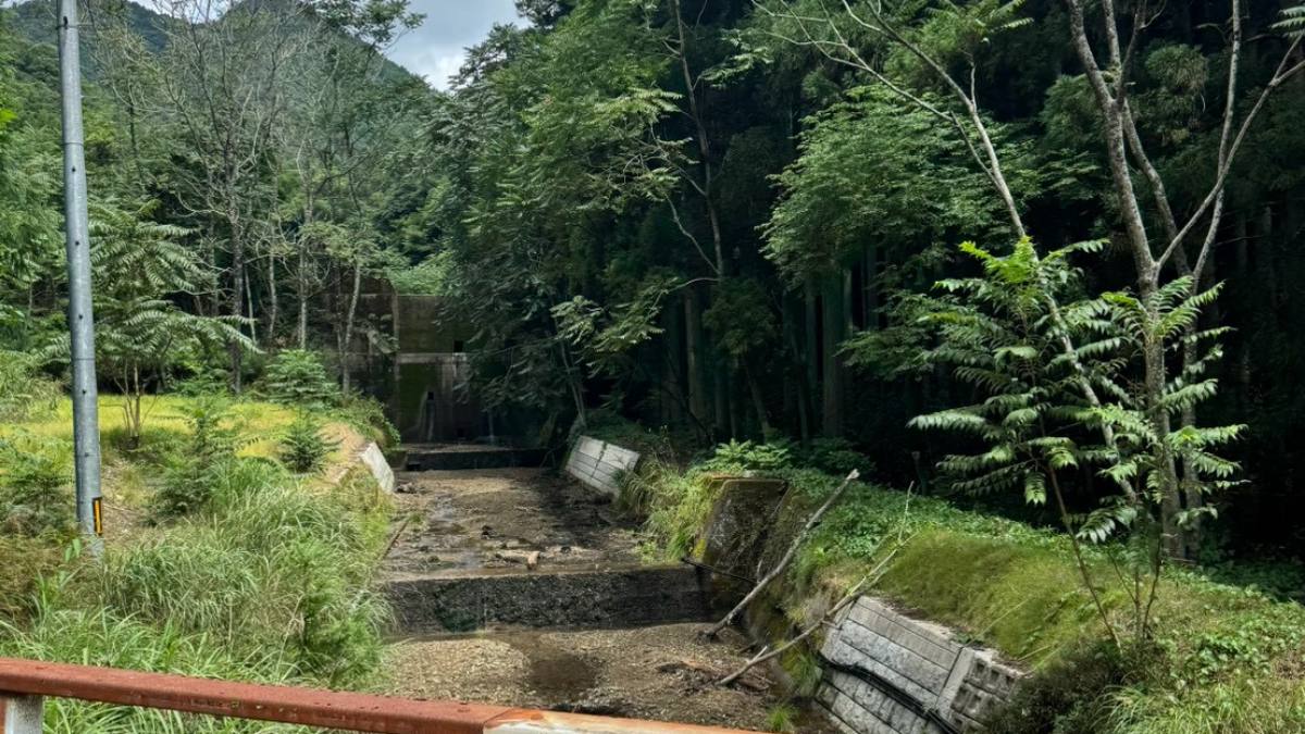 竹林に挟まれた水路と崩れかけた護岸