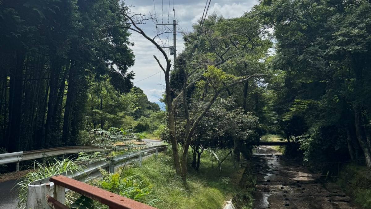 ガードレール沿いの道と水の枯れた沢