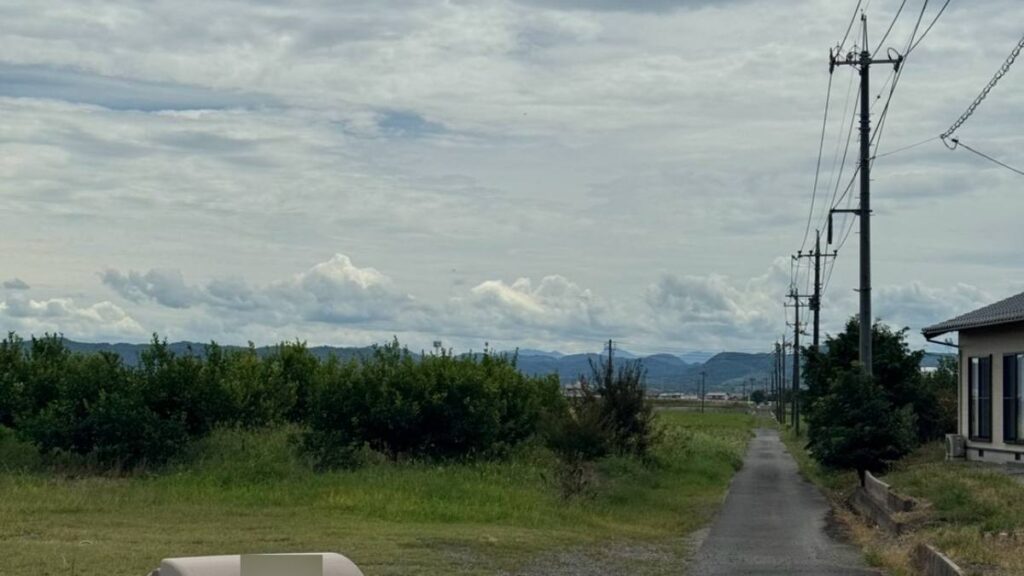みかん畑の脇に伸びる細い舗装路と遠くの山並み
