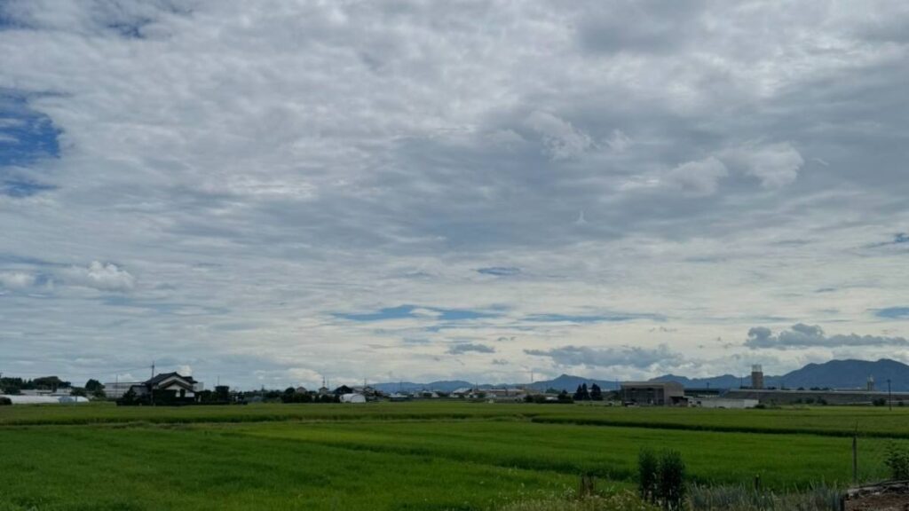 青々とした田んぼが広がる平野と遠くの山並み