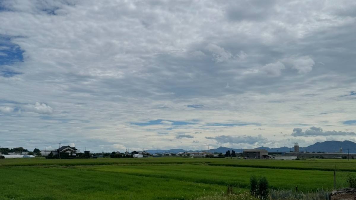 青々とした田んぼが広がる平野と遠くの山並み