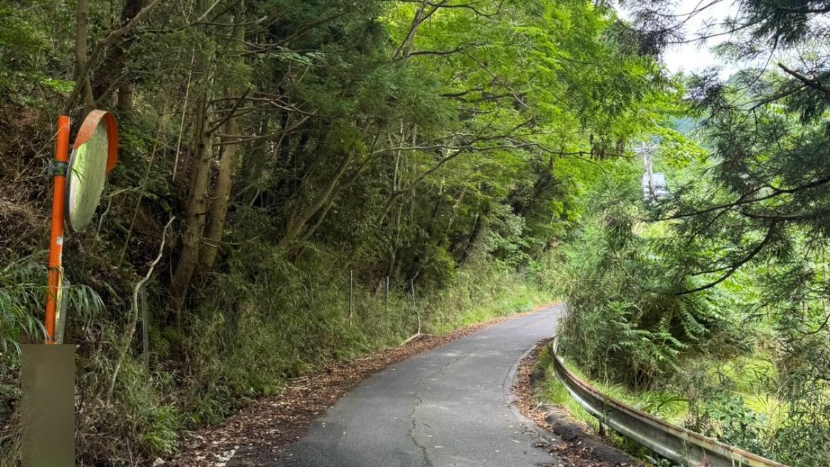 カーブミラーの立つ山あいの細い坂道