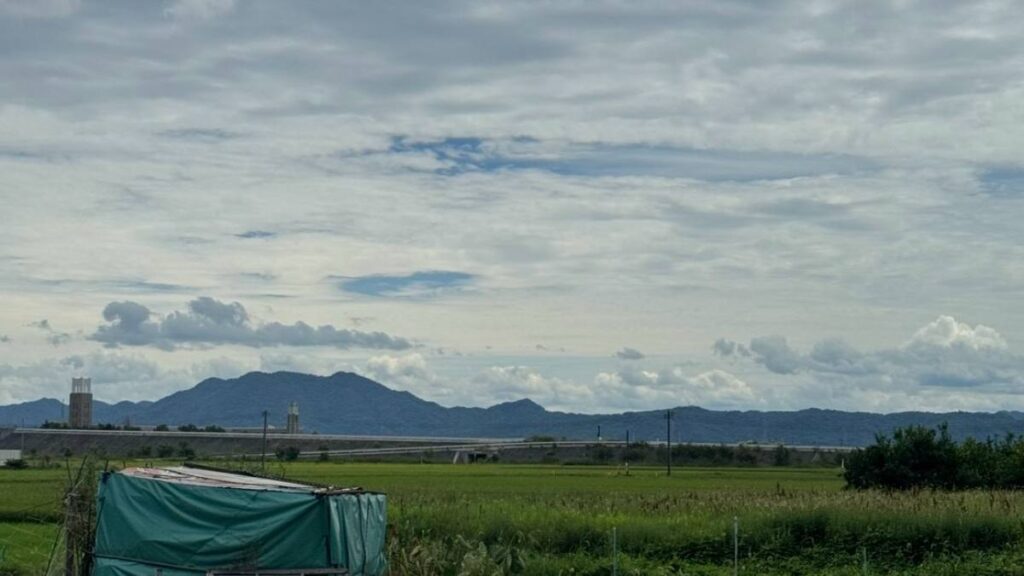 刈り取り前の田とビニールで覆われた小屋、遠くの山並み