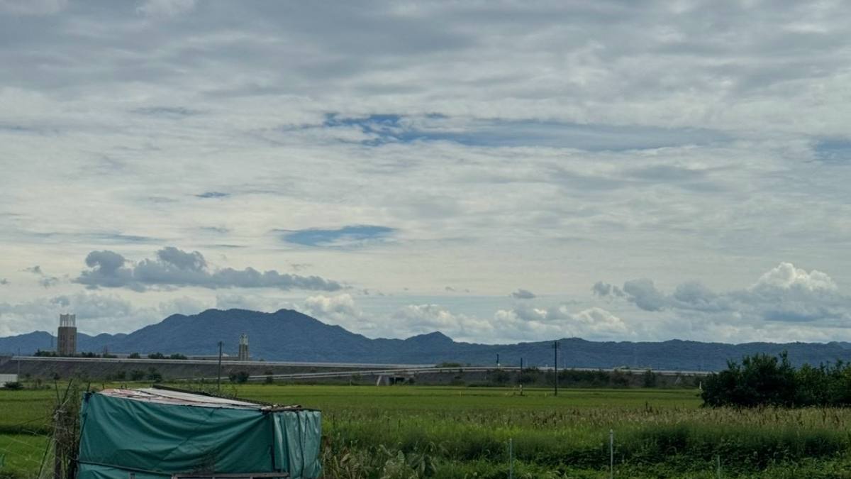 刈り取り前の田とビニールで覆われた小屋、遠くの山並み