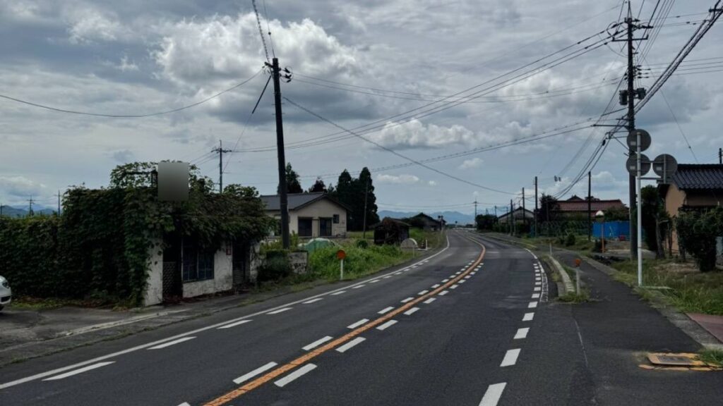 幹線道路沿いに残る蔦に覆われた廃業した店舗