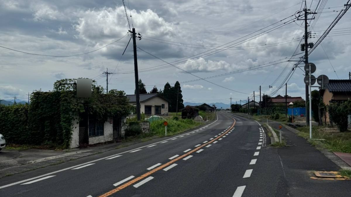 幹線道路沿いに残る蔦に覆われた廃業した店舗