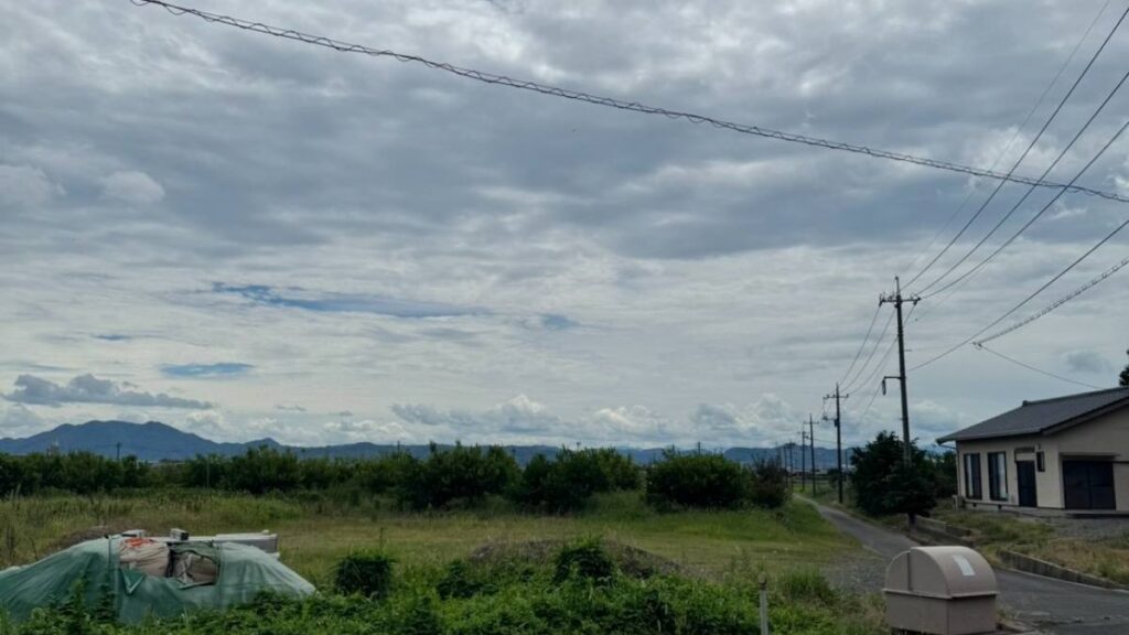 畑と民家が点在する平野の道路沿いの風景