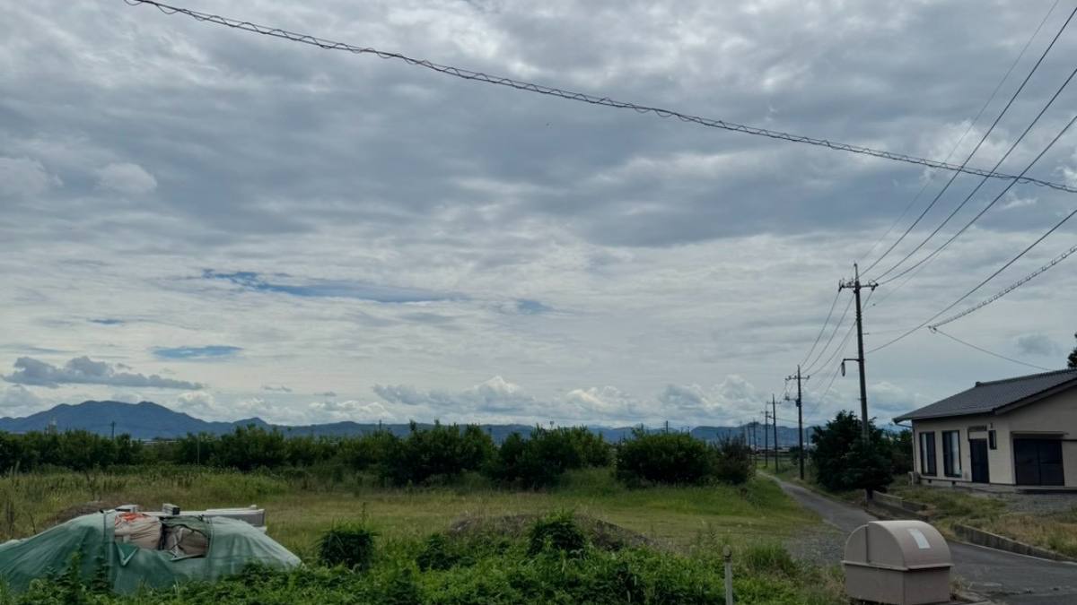 畑と民家が点在する平野の道路沿いの風景