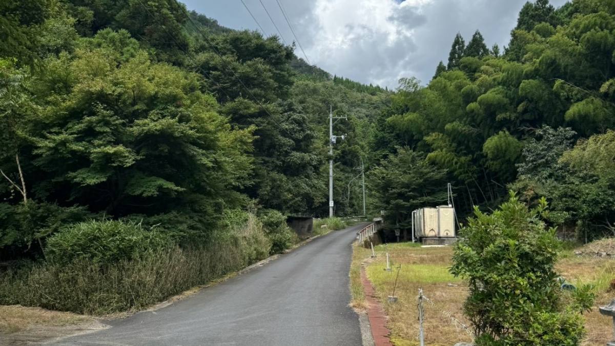 山に囲まれた集落へ続く舗装路と電柱