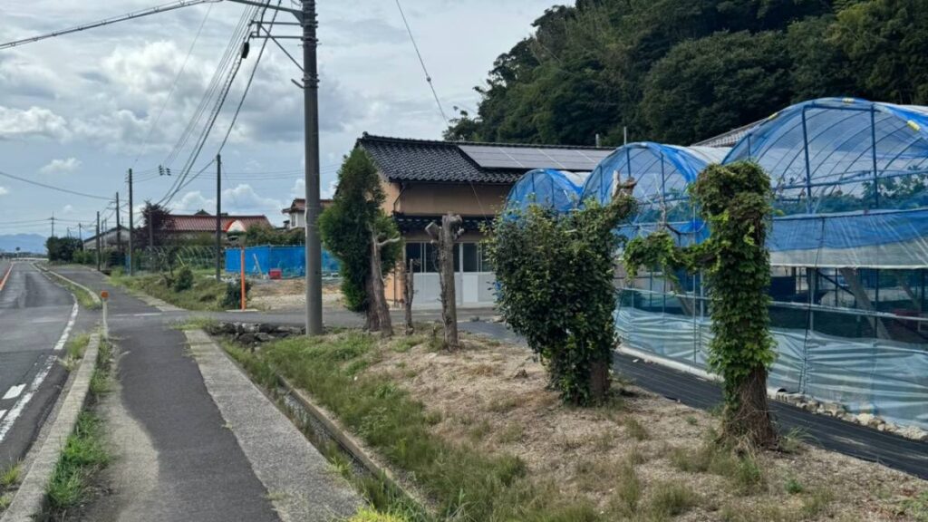 農道沿いに並ぶビニールハウスと剪定された木
