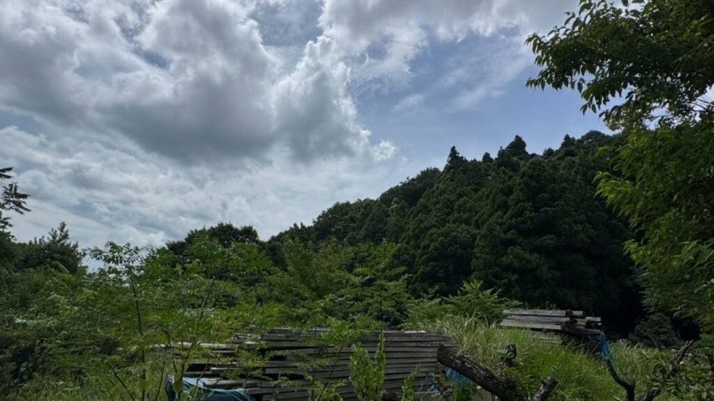 山を背にした荒れた敷地に積み上げられた古材