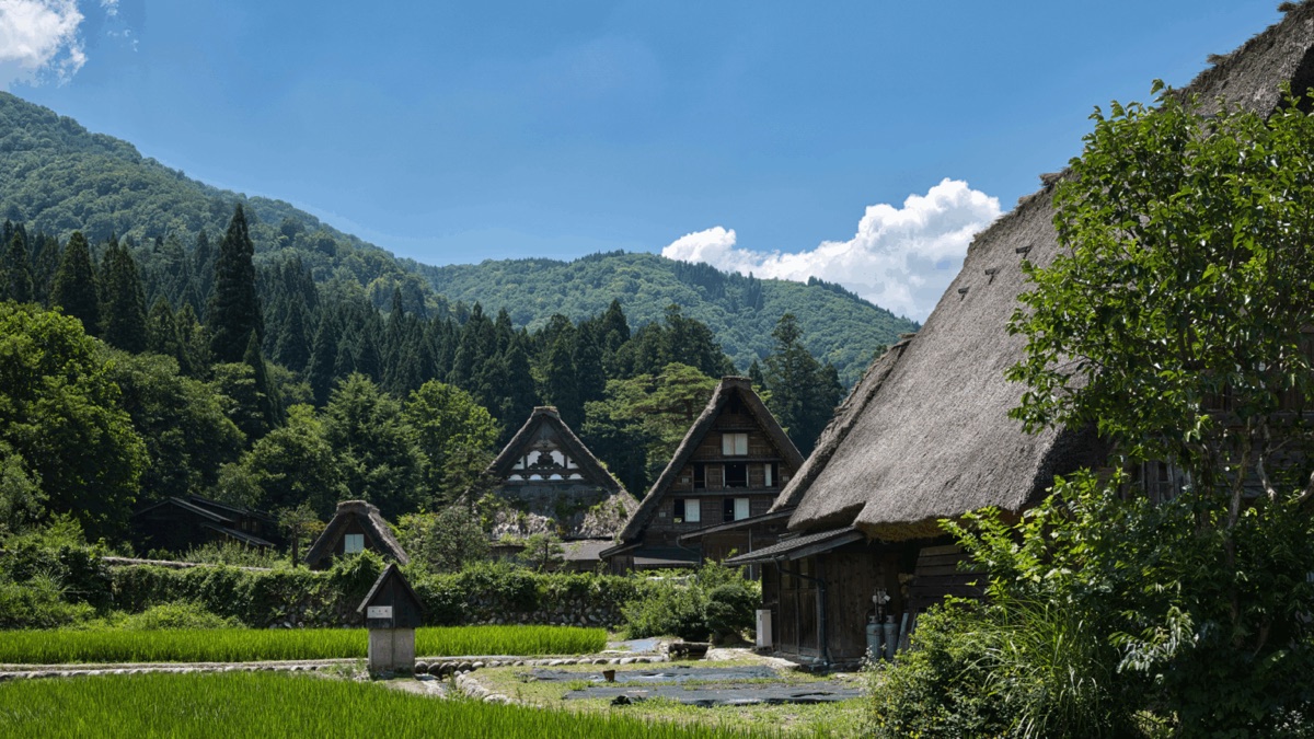 山あいの集落と農地に建つ古い家屋