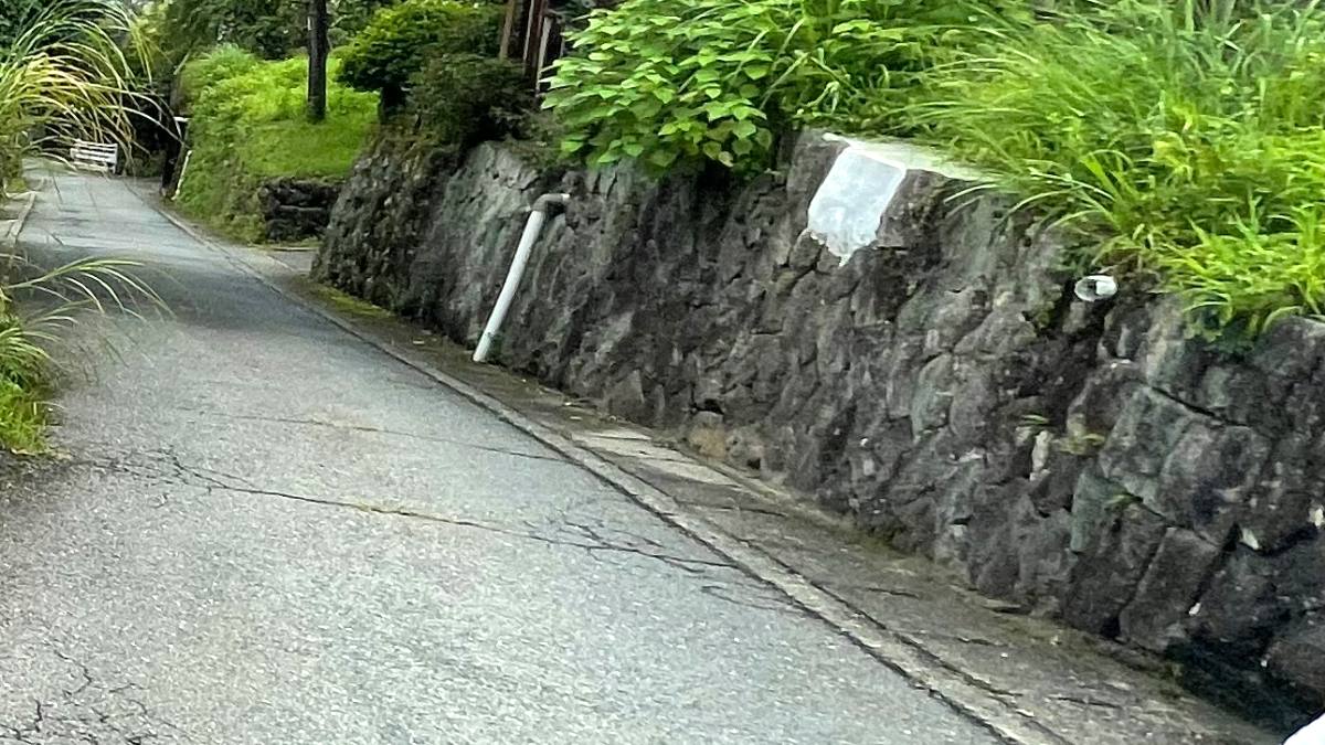 草に覆われた石積みの擁壁と側溝